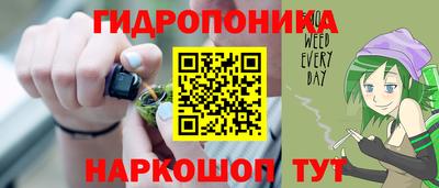 индика Гусиноозёрск