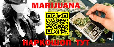 индика Гусиноозёрск