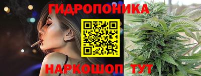 индика Гусиноозёрск
