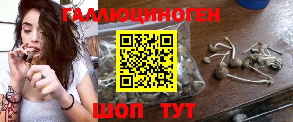 Галлюциногенные грибы Cubensis Барабинск