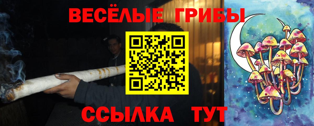 Псилоцибиновые грибы Psilocybe  Вход с VPN  Барабинск  Галлюциногенные грибы Cubensis 
